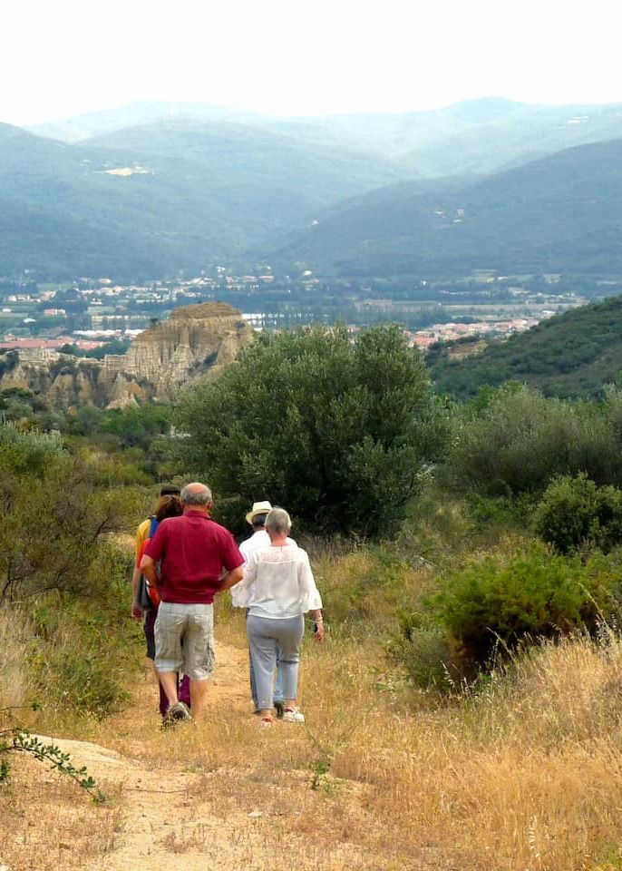 LES ORGUES D'ILLE SUR TÊT