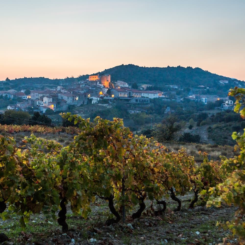 vignoble et vue sur le village de bélesta en Roussillon Conflent dans les Pyrénées Orientales