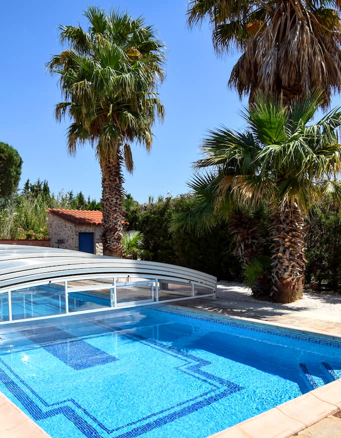 Swimming pool and palm tree at the meublé de tourisme le loriot in Millas in roussillon conflent in the pyrénées orientales