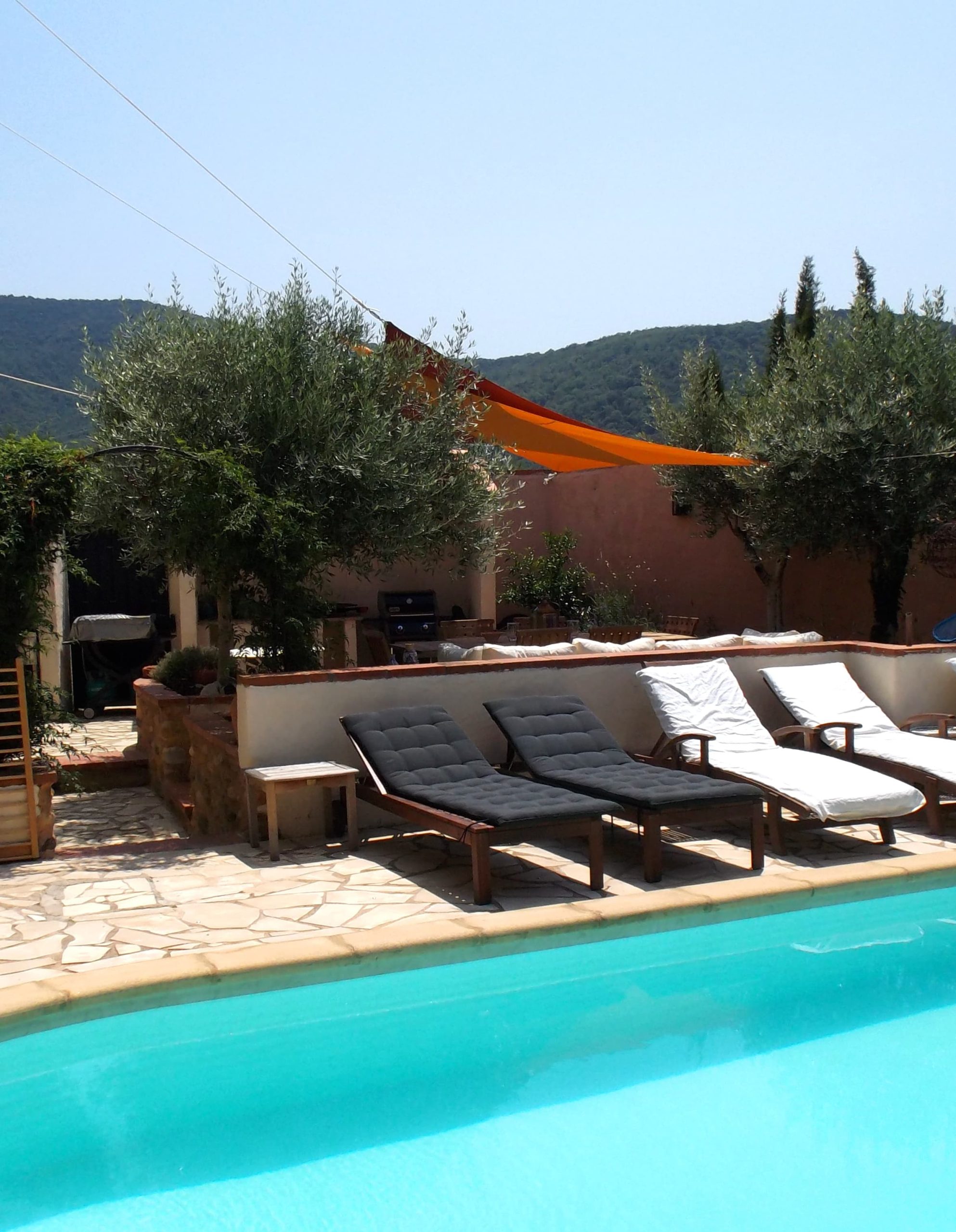 Swimming pool of the mas saint joseph guest house in ille sur tet in roussillon conflent in the eastern pyrénées