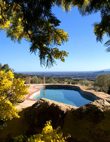 swimming pool of the furniture gite et olivier in ille sur tet in roussillon conflent in the pyrenees orientales 