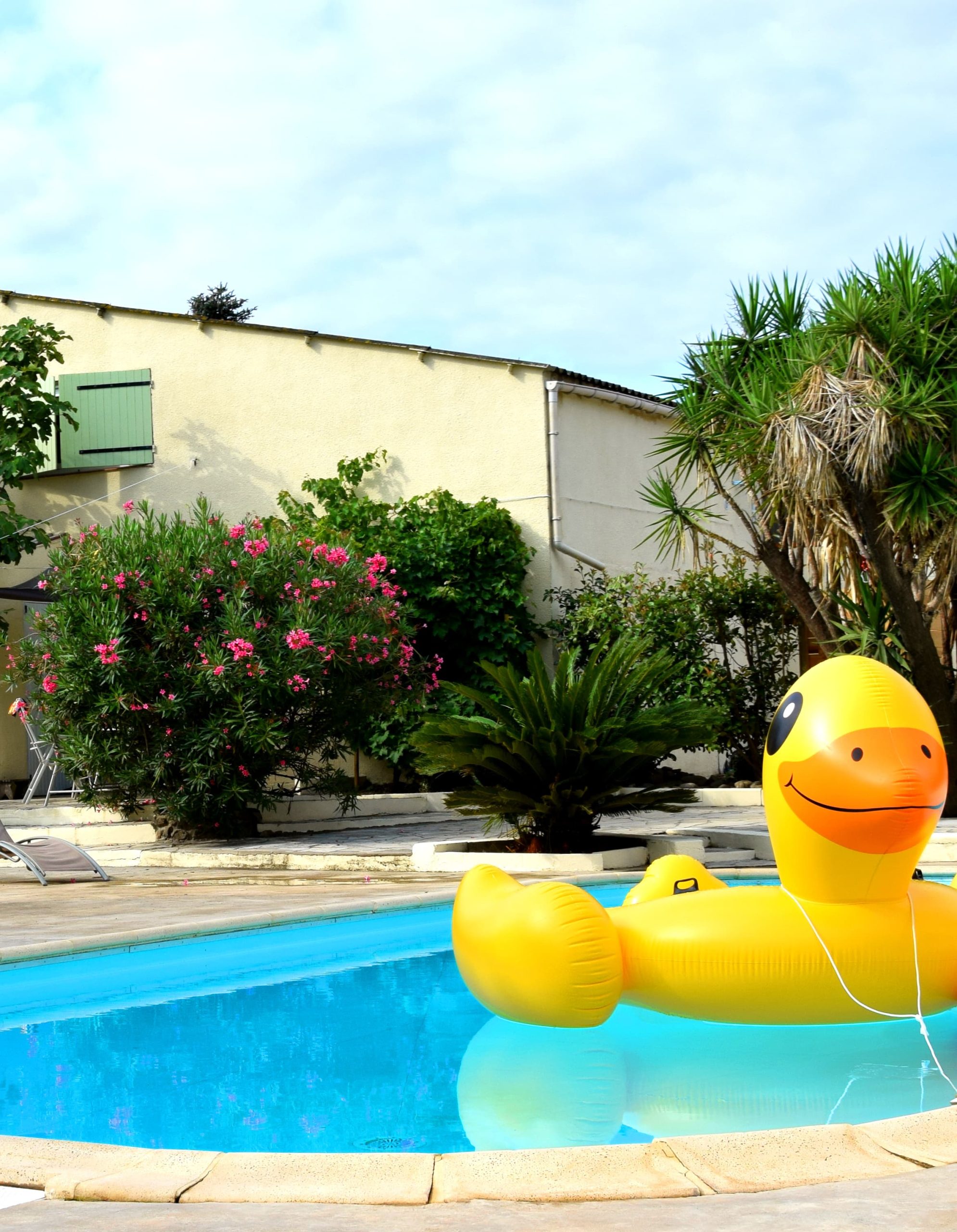 swimming pool with duck buoy at l'entre deux in corbere in Roussillon Conflent in the Pyrénées Orientales