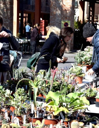 Expo plantes art des jardins 2020 à ille sur tet en roussillon conflent dans les pyrénées orientales