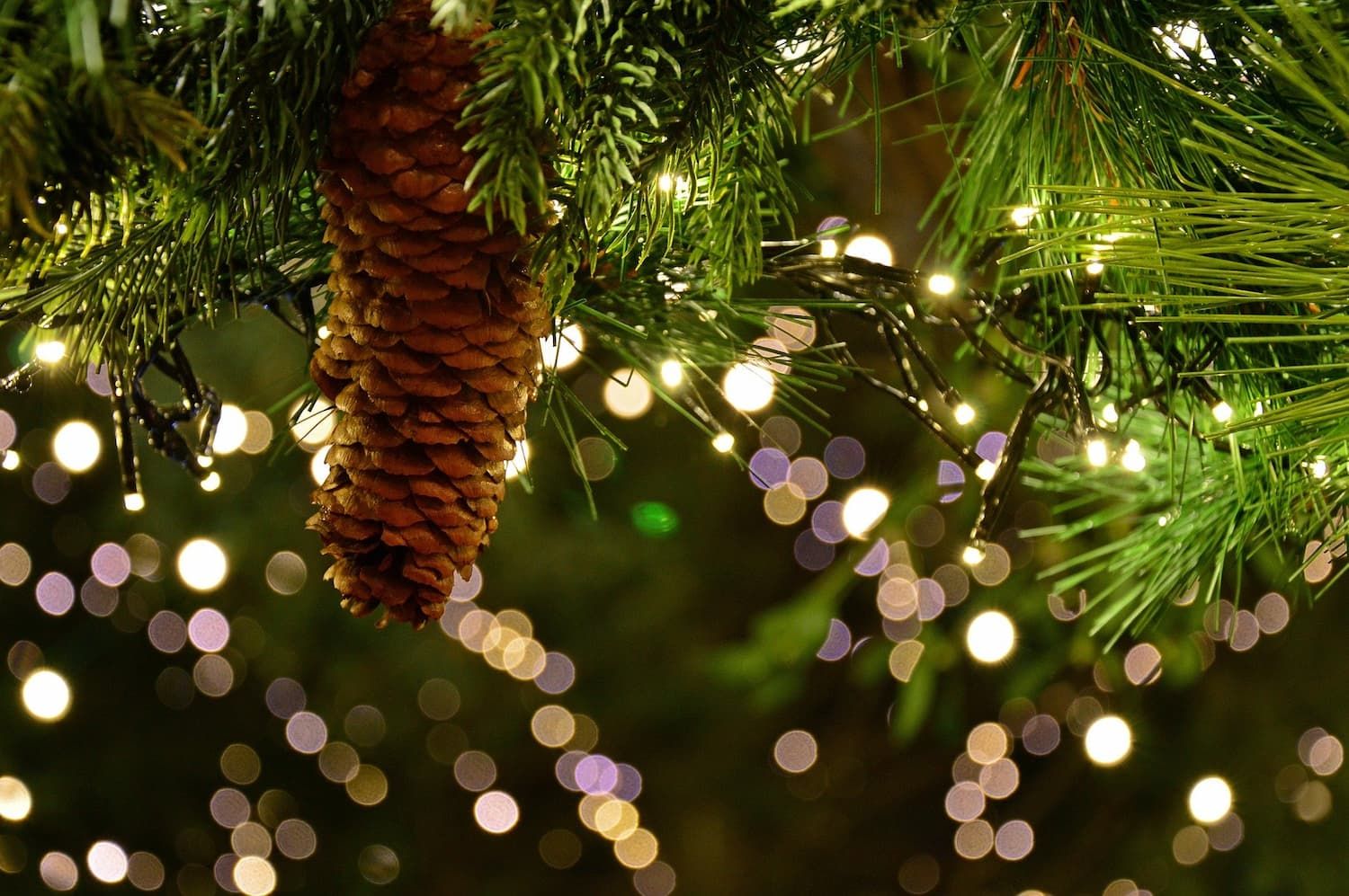 guirlande et sapin de noel en roussillon conflent