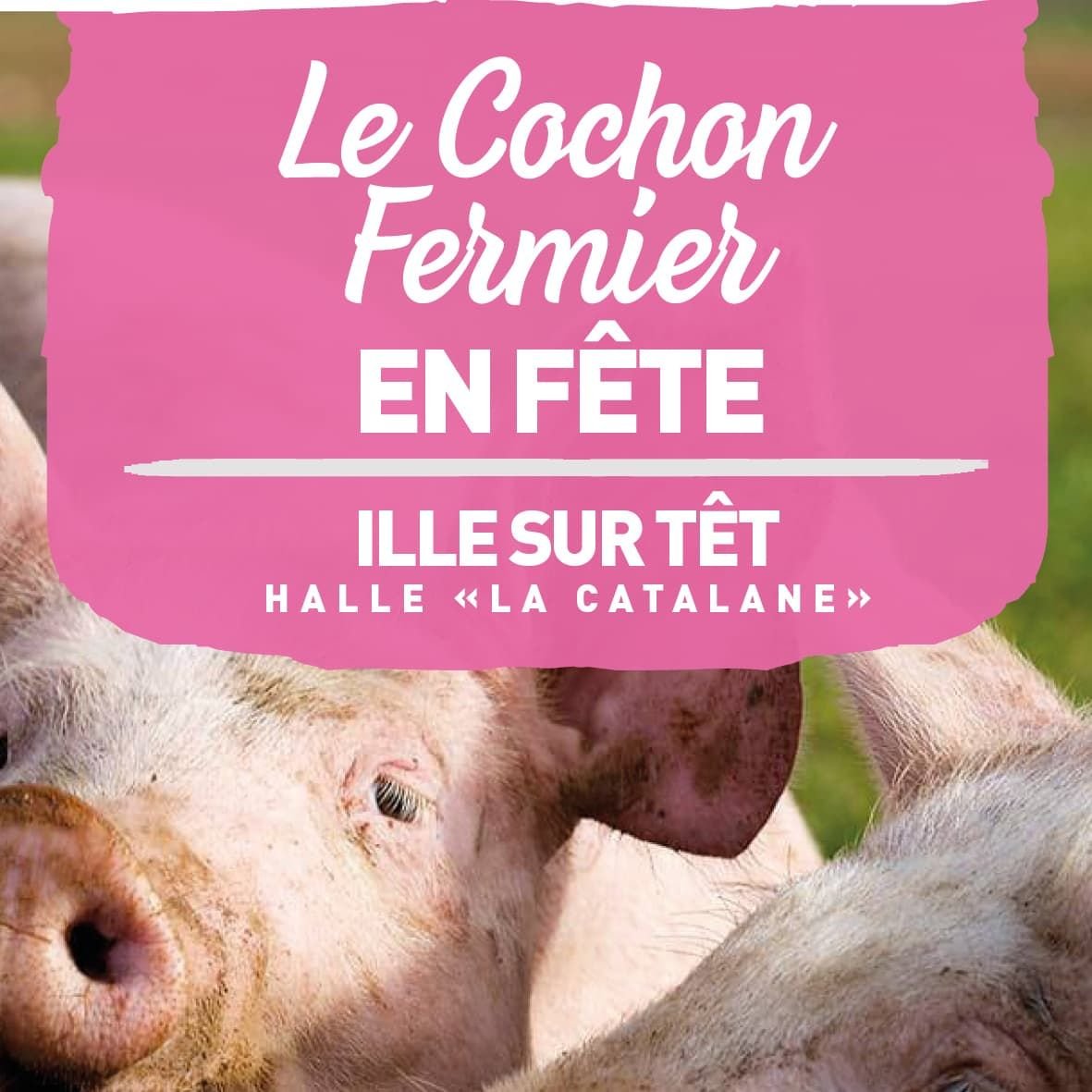 affiche du cochon fermier en fête 2022 à ille sur Têt