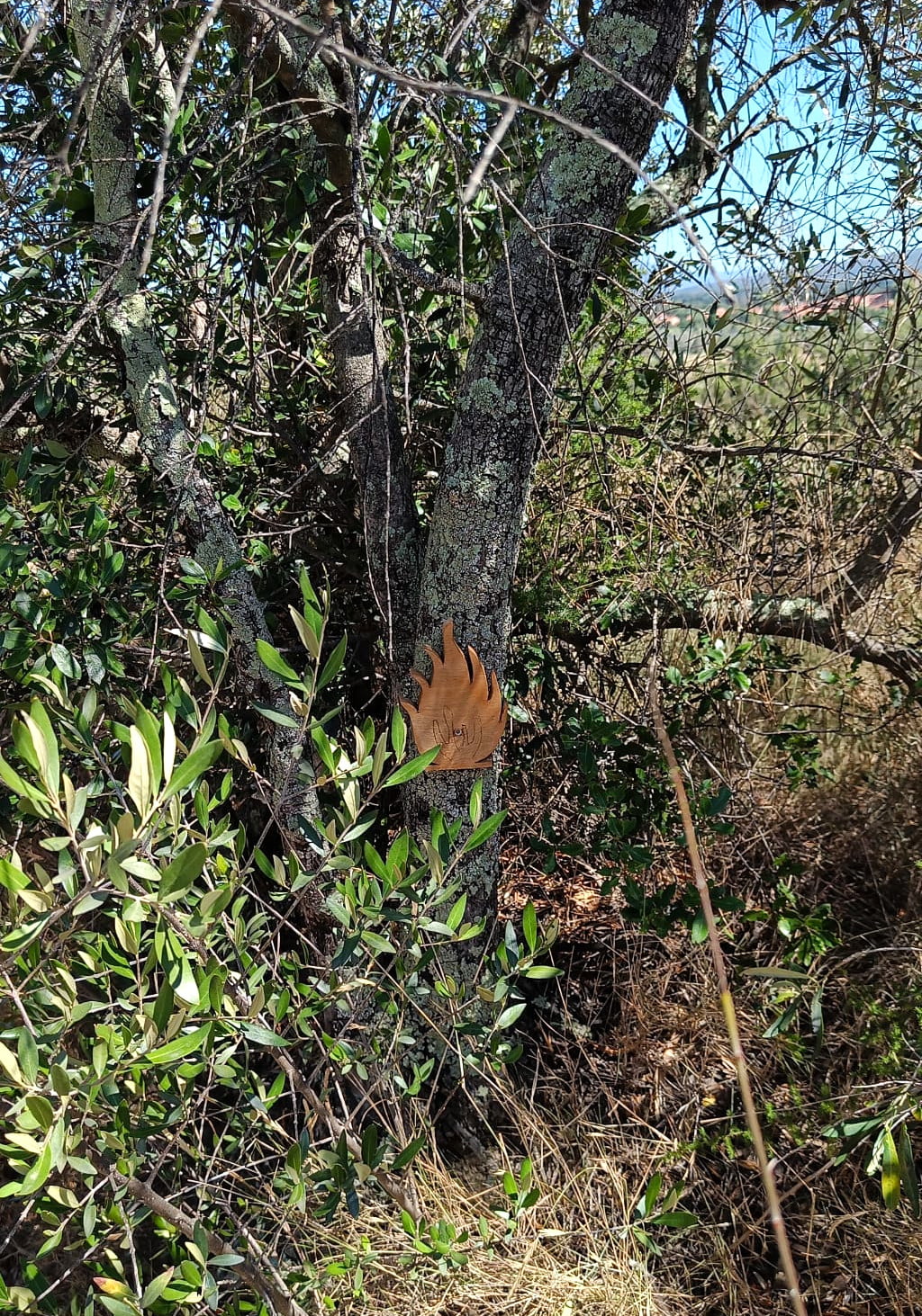 Flamme à découvrir sur la chasse au trésor de néfiach en roussillon conflent dans les pyrénées orientales