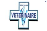 SCP VETERINAIRES LOSSOIS BORDES DANEY LOSSOIS CALVIERE